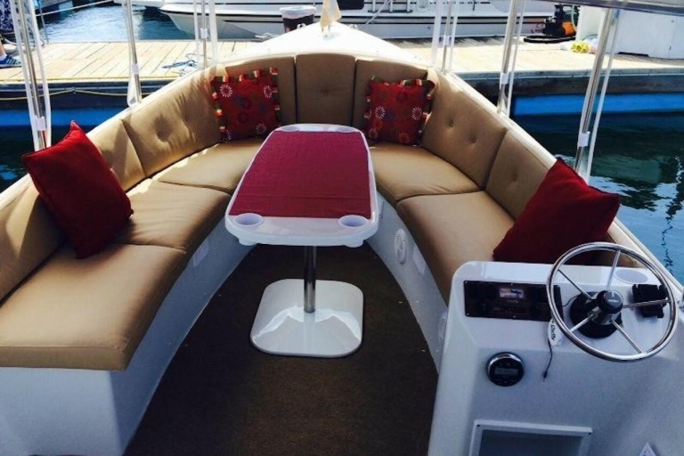 San Diego: Private Sun Cruiser Duffy Boat RentalSun Cruiser Rental - 90 minuten