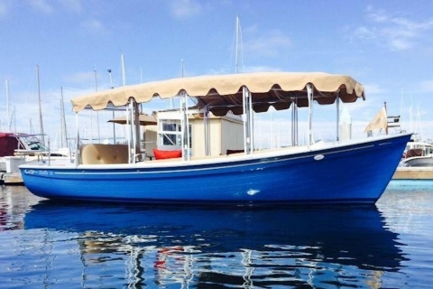 San Diego: Private Sun Cruiser Duffy Boat Rental Sun Cruiser Rental - 90 Minutes