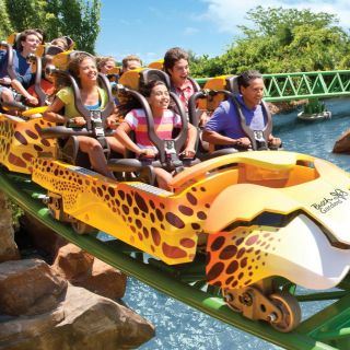 Tampa Bay CityPASS®: Save Over 53% at 5 Top Attractions