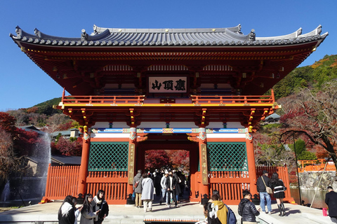 Osaka: Katsuoji Temple Guided Tour with Bus Transfer Private Tour in English with Meeting Point