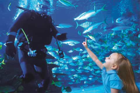 Houston CityPASS®: Save up to 47% at 5 Top Attractions