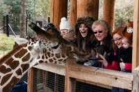Dallas, CityPass® met tickets voor 4 topattracties - Housity