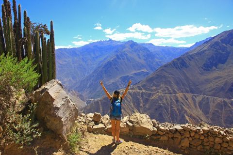 Von Arequipa: 2-tägige Trekkingtour zum Colca Canyon