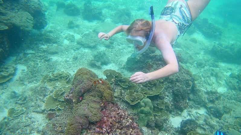 Krabi Freediving And Snorkeling At Yawasam And Talu Island Getyourguide