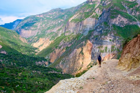 From Arequipa: 3-Day Trekking Tour to Colca Canyon