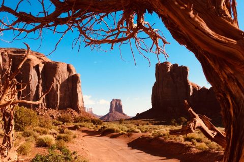 Monument Valley: Highlights Tour with Backcountry Access