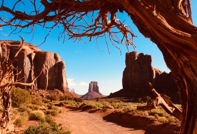 Visit Monument Valley Highlights Tour with Backcountry Access in Monument Valley, UT