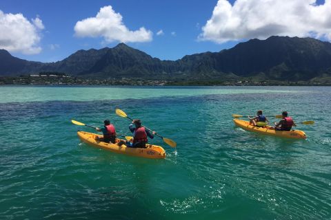 Oahu: Kane'ohe Bay Kayak Rentals