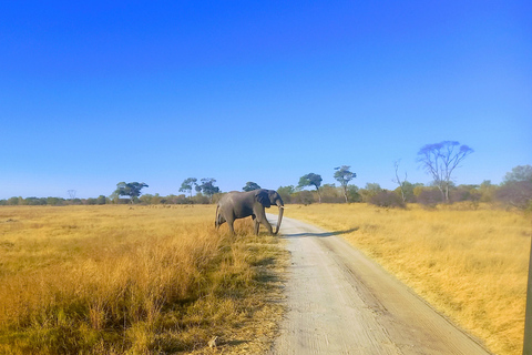 Harare: Layover Tours , Safaris &Vacation