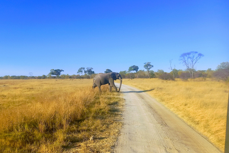 Harare: Passeios de escala, safáris e férias