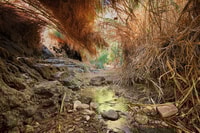 From Jerusalem/Tel Aviv, Masada, Ein Gedi, and Dead Sea Tour - Housity