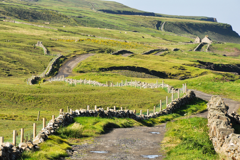 Depuis Dublin : journée aux falaises de Moher et à Galway