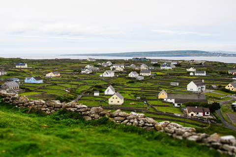 Depuis Dublin : journée aux falaises de Moher et à Galway