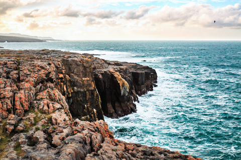 Depuis Dublin : journée aux falaises de Moher et à Galway