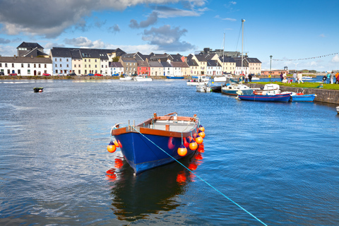 Depuis Dublin : journée aux falaises de Moher et à Galway