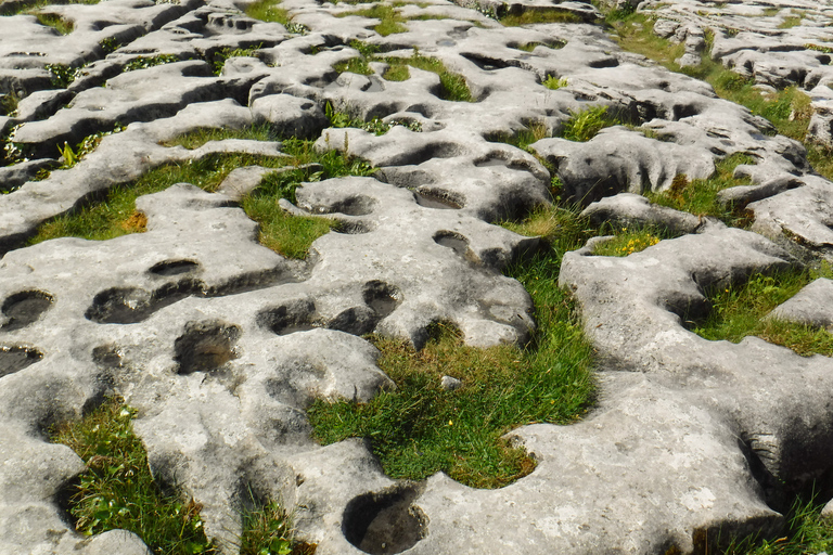 Depuis Dublin : journée aux falaises de Moher et à Galway