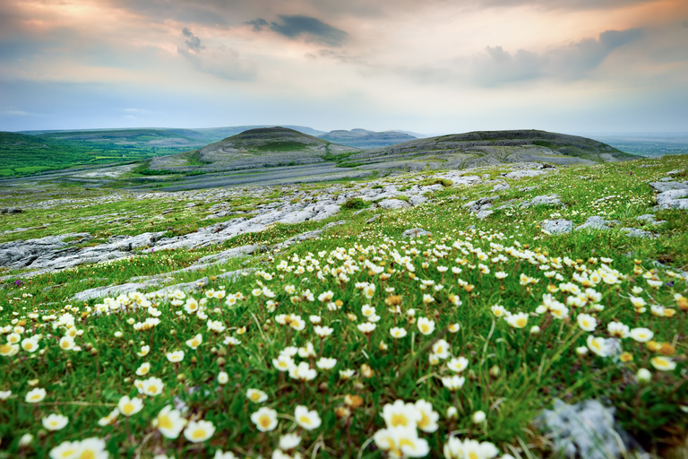 Dublin: Dagstur till Cliffs of Moher, Doolin, Burren och GalwayDublin, Mohers klippor Dagsutflykt till Cliffs of Moher, Doolin, Burren och Galway