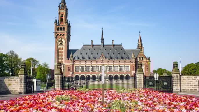 from amsterdam rotterdam the hague delft private tour