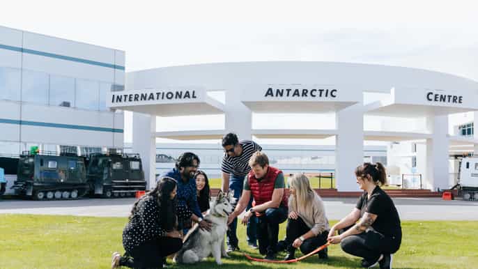 christchurch international antarctic center entry tickets