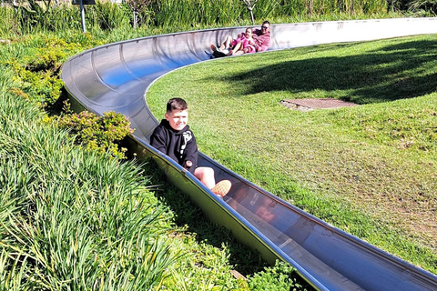 Kaapstad: Cool Running/Toboggan Adventure en ophaalservice vanaf je hotelKaapstad: Cool Running/Toboggan-avontuur en ophaalservice vanaf je hotel