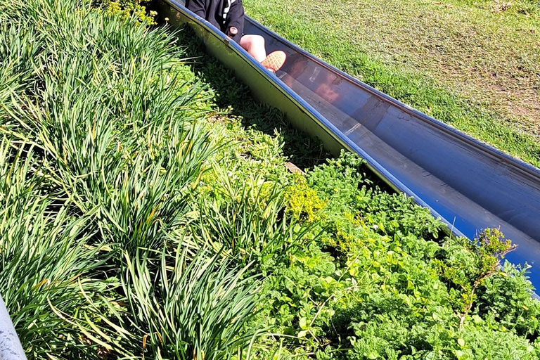 Kaapstad: Cool Running/Toboggan Adventure en ophaalservice vanaf je hotelKaapstad: Cool Running/Toboggan-avontuur en ophaalservice vanaf je hotel