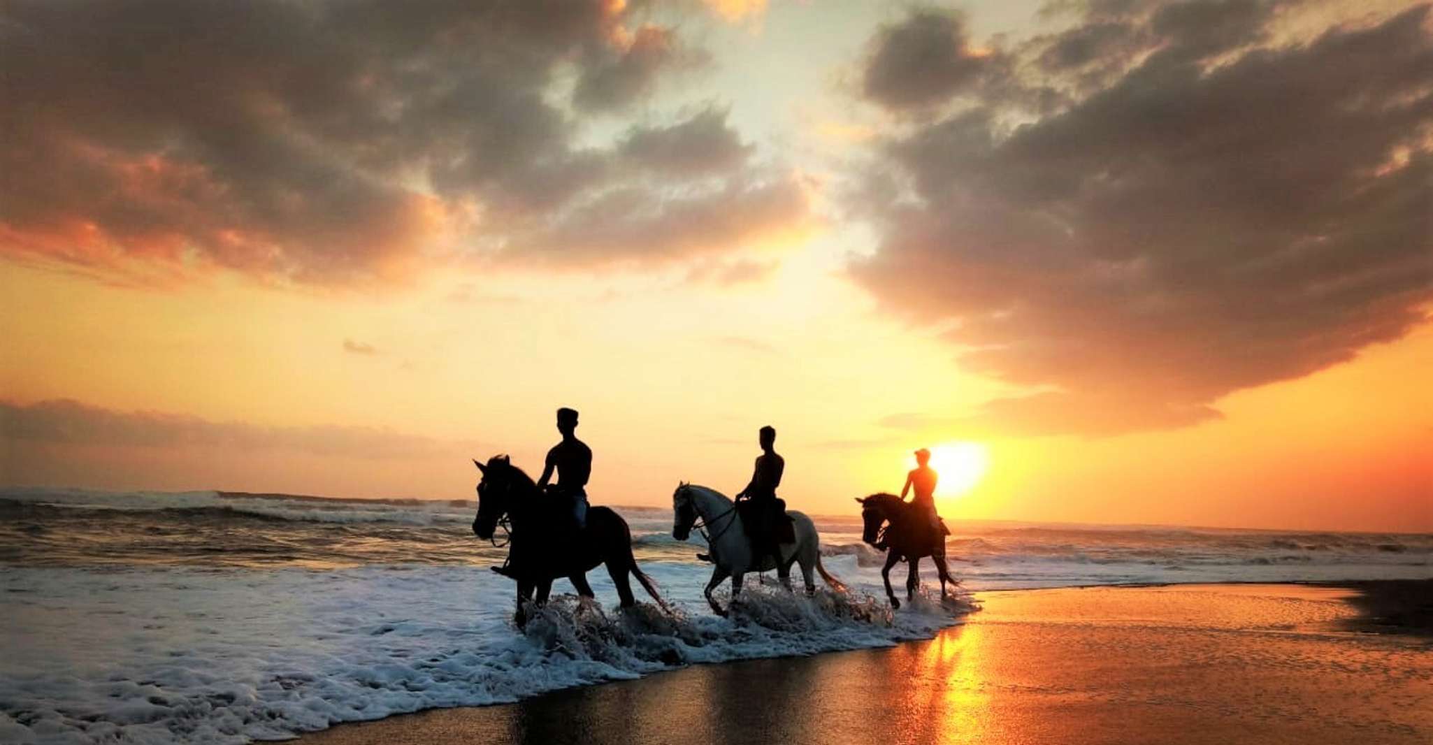 Langudu, Horse Riding on the Beach and in the Rice Fields - Housity