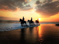 Langudu, paseando a caballo en la playa y en los campos de arroz - Housity