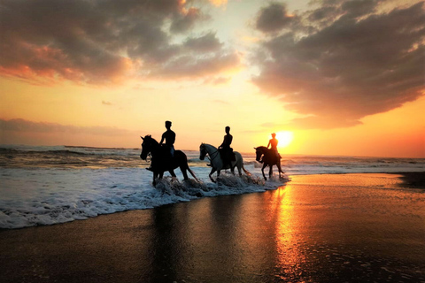 Langudu: Horse Riding on the Beach and in the Rice Fields