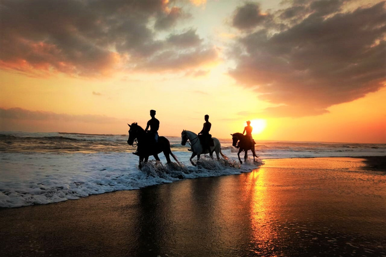 Langudu : équitation sur la plage et à travers les rizières