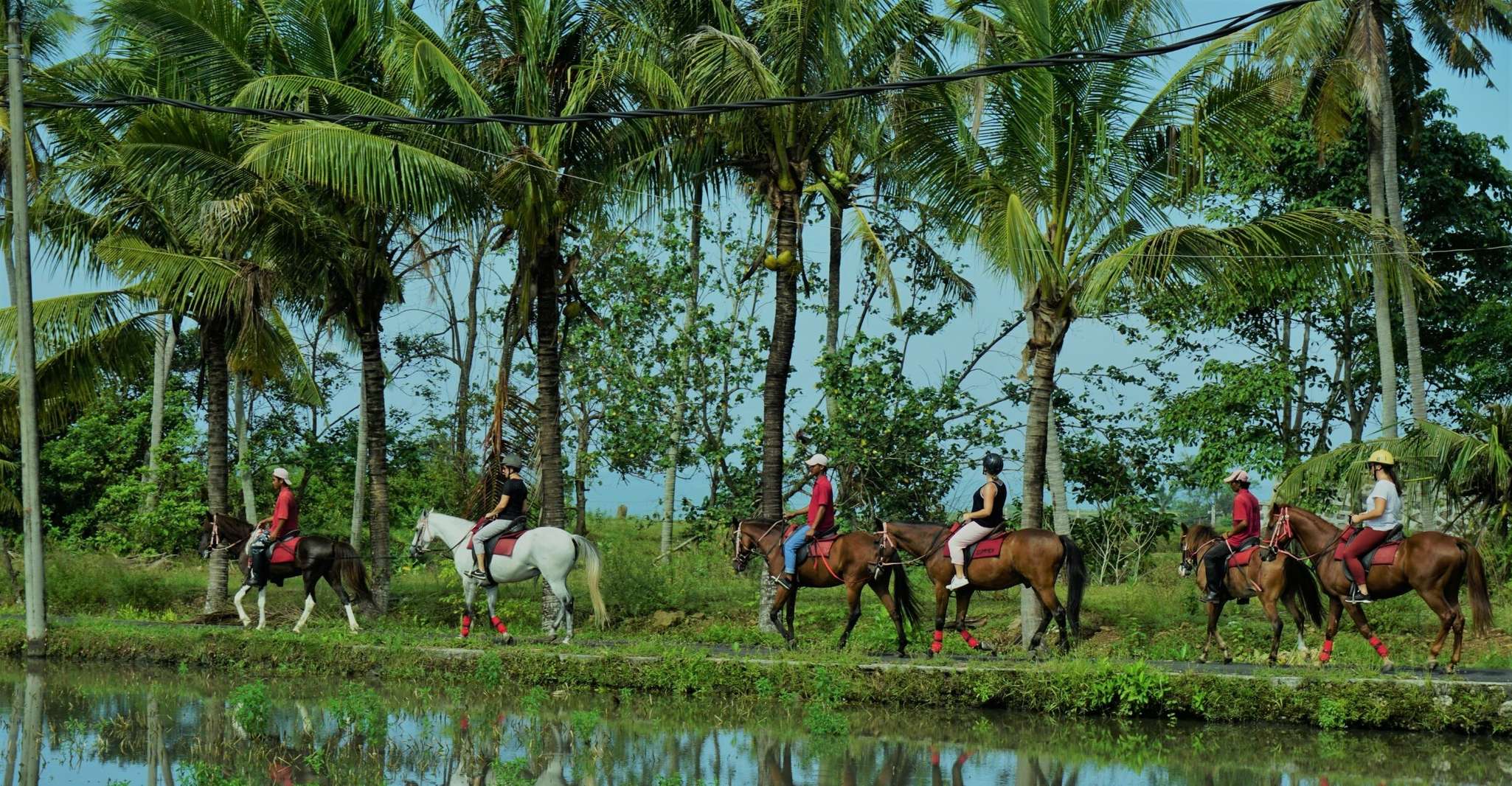 Langudu, Horse Riding on the Beach and in the Rice Fields - Housity