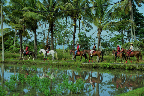 Langudu: Horse Riding on the Beach and in the Rice Fields