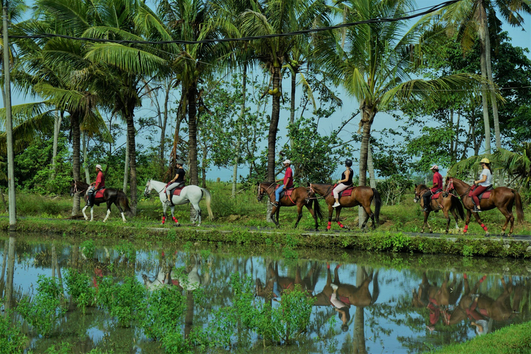 Langudu: Horse Riding on the Beach and in the Rice Fields