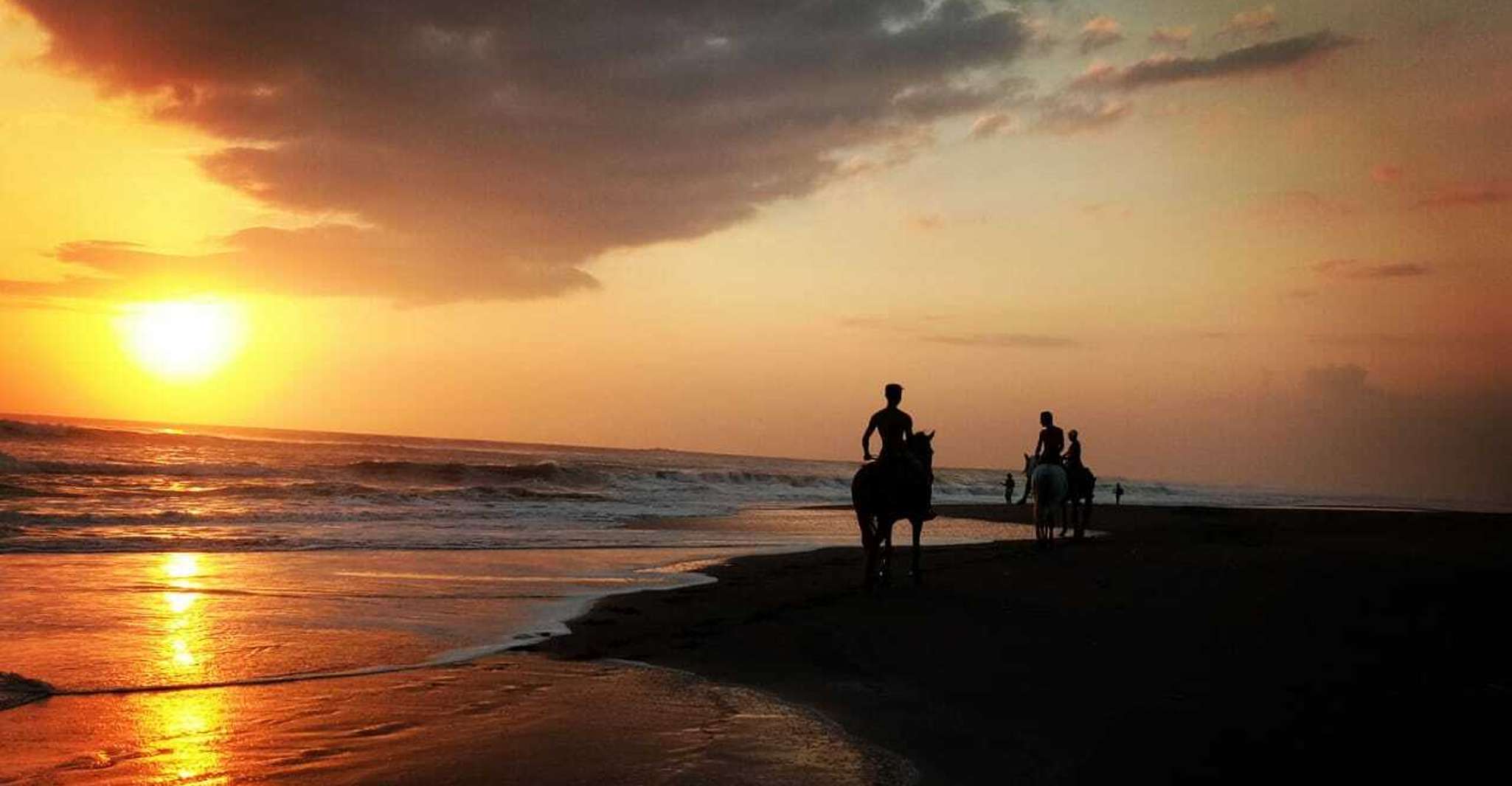 Langudu, Horse Riding on the Beach and in the Rice Fields - Housity