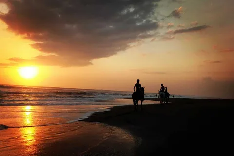 Bali: Horse Riding on Pigstone Beach and in the Rice Fields