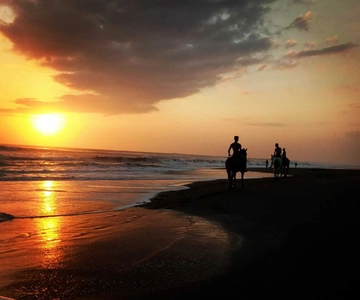 Bali: Horse Riding on Pigstone Beach and in the Rice Fields