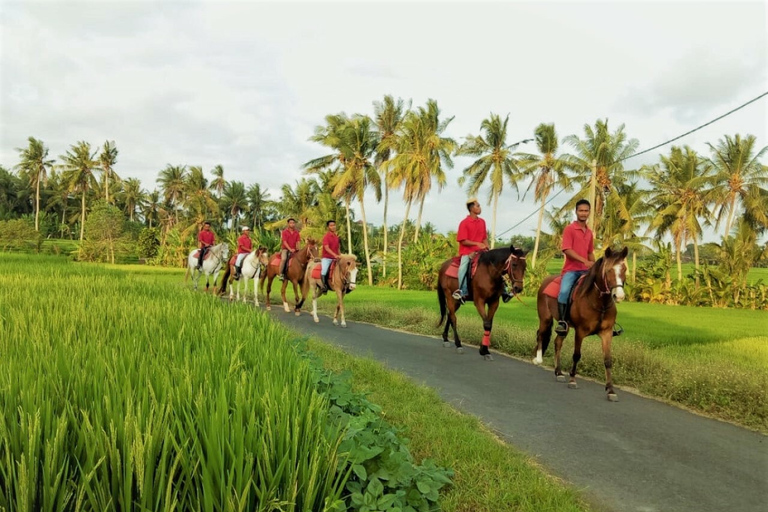 Langudu: Horse Riding on the Beach and in the Rice Fields