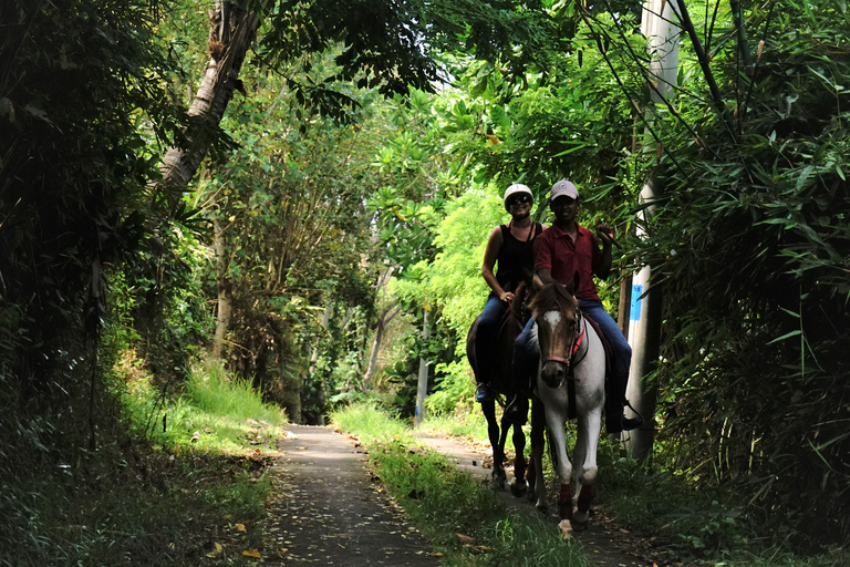 Langudu: Horse Riding on the Beach and in the Rice Fields