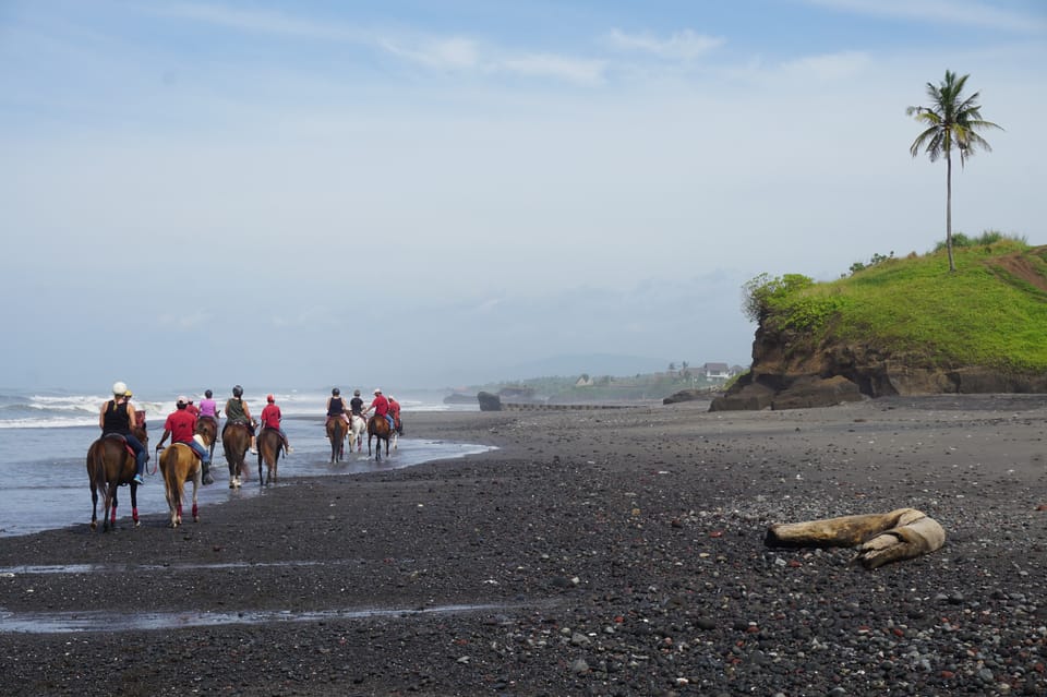 Langudu, Horse Riding on the Beach and in the Rice Fields - Housity