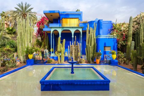 Marrakech: ingresso al giardino Majorelle e pranzo nel campo nel deserto