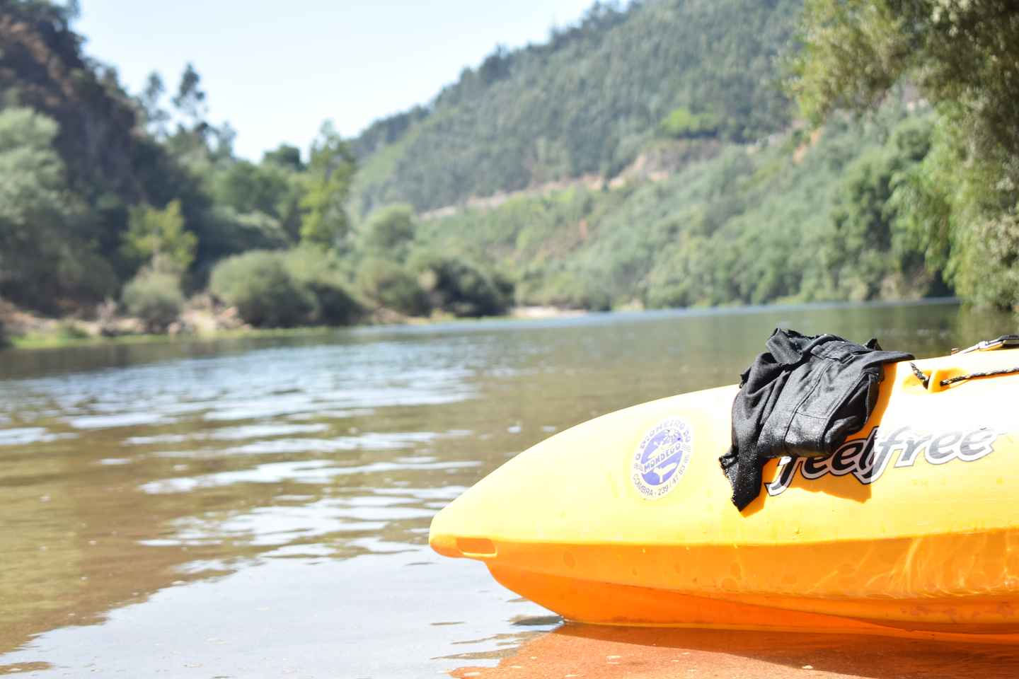Coimbra: Mondego River Kayaking Tour