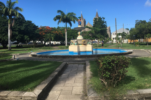 Basseterre: Découverte de la randonnée de 3 heures à Saint Kitts