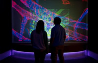 Boston CityPASS®, Save 45% at 4 Top Attractions - Housity