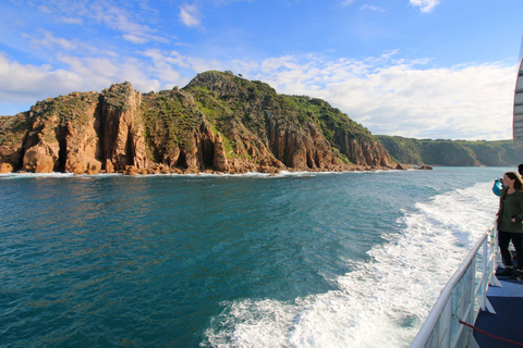 Isla Philip: Crucero con delfines y ballenas