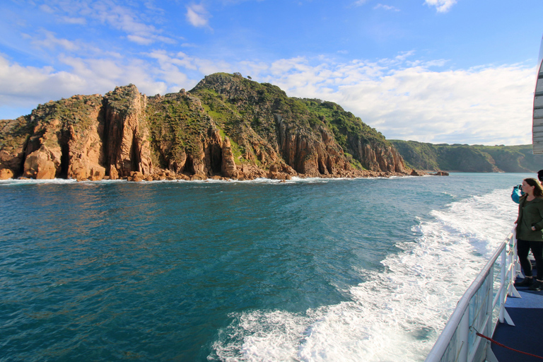 Isla Philip: Crucero con delfines y ballenas