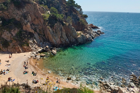 Tossa de Mar from Girona, small group Tossa de Mar from Girona city