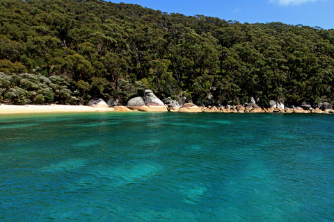 Wilsons Promontory: cruise om walvissen te spotten met lunch