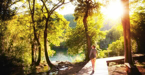 Von Split oder Trogir aus: NP Krka Radtour & Primošten