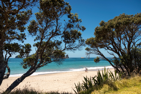 CATHEDRAL COVE &amp; HOT WATER BEACH Day Tour from Auckland