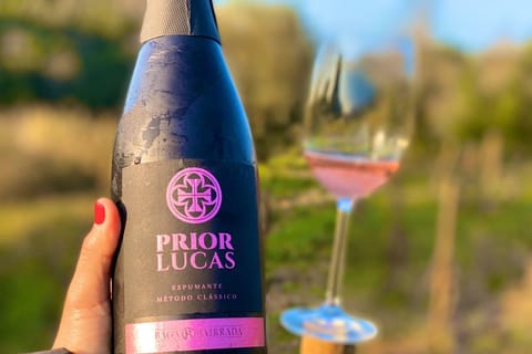 Coimbra: Prior Lucas Winery and Vineyard Visit with Tastings