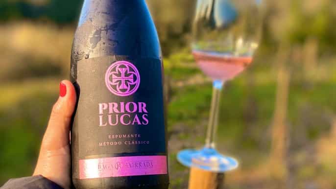 coimbra prior lucas winery and vineyard visit with tastings